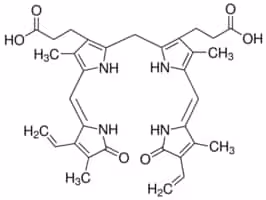 Bilirubin 98% (EmM/453 = 60), powder, 1 g