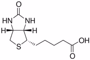Biotin 99% (HPLC), lyophilized powder, 10 g