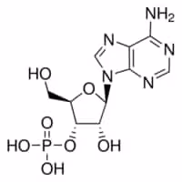 Adenosine 3'-monophosphate from yeast, 100 µg