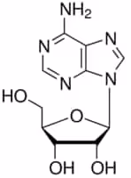 Adenosine suitable for cell culture, BioReagent, 5 g