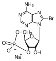 8-bromoadenosine 3 :5 -cyclic 250 mg