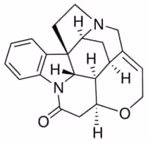 Strychnine free base 10 g