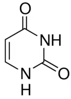 Uracil bioreagent suitable for cell cu 25 g