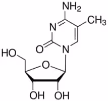 5-Methylcytidine 99%, 100 µg