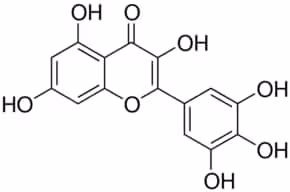Myricetin 25 mg