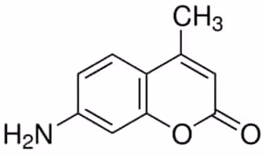 7-Amino-4-methylcoumarin Chromophore for substrates, 500 mg