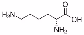 D-Lysine 98% (HPLC), 1 g