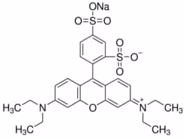 Sulforhodamineb sodium salt bioreagent 1 g