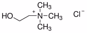 Choline chloride suitable for cell cult 500 g