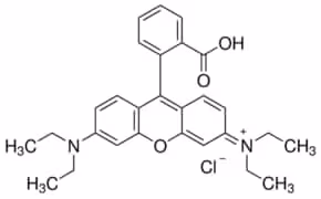 Rhodamine b sup à=95 % (hplc) 500 g