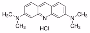 Acridine orange solution 10 ml