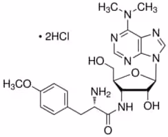 Puromycin dihydrochloride from from str 10 mg