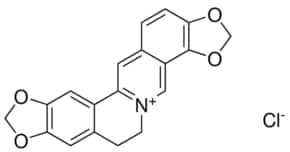 Coptisine Chloride 98% (HPLC), 25 µg