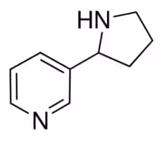 (+/-)-Nornicotine 98% (TLC), liquid, 25 µg