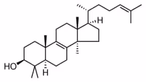 Lanosterol sup à/=93% powder 5 mg