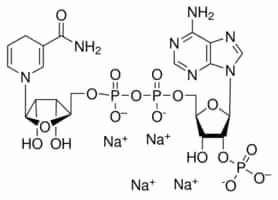 Beta-nicotinamide adenine dinucleotide 100 mg