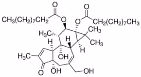 4alpha-Phorbol 12,13-didecanoate solid, 1 mg