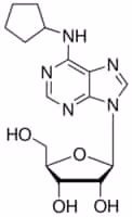 N6-cyclopentyladenosine 25 mg