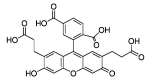 2 ,7 -bis(2-carboxyethyl)-5(6)- carboxyf 1 mg