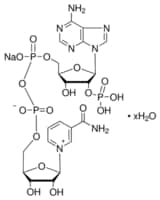 Beta-nicotinamide adenine dinucleotide p 15vl 15 VL
