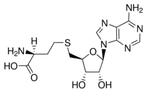 S-adenosyl-l-homocysteine 10 mg