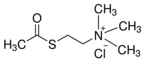 Acetylthiocholine chloride 99% (TLC), powder, 1 g