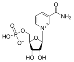 béta-Nicotinamide mononucleotide 95% (HPLC), 25 µg