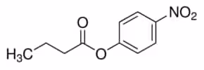 P-nitrophenyl butyrate 5 g