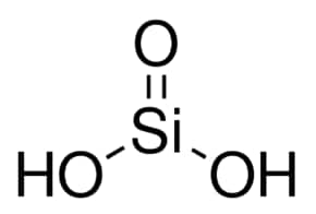 Silicic acid 100 g