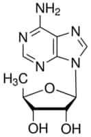 5 -deoxyadenosine 25 mg