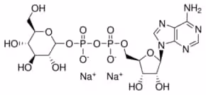 Adenosine-5'-diphosphoglucose disodium salt 93%, 10 µg