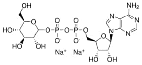 Adenosine-5'-diphosphoglucose disodium salt 93%, 25 µg