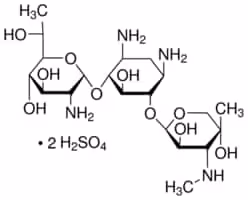 G418 disulfate salt 1 g