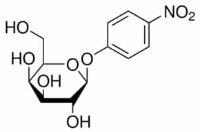 P-nitrophenyl-b-d-galacto-pyranoside 1 g