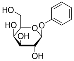 Phenyl b-d-galactoside 5 g