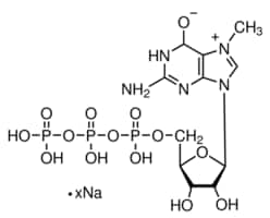 7-methylguanosine 5 -triphosphate sodiu 5 mg