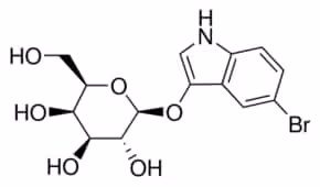 5-Bromo-3-indolyl béta-D-galactopyranoside 98%, 25 µg