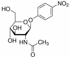 4-Nitrophenyl N-acetyl-béta-D-glucosaminide 99% (TLC), 500 mg