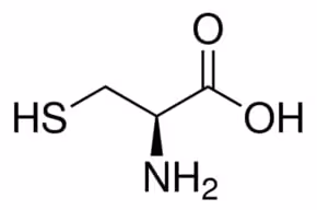 L-cysteine sup à= 98% bioreag 1 kg