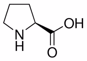 L-proline reagentplus(tm) sup à=99% (hplc 100 g