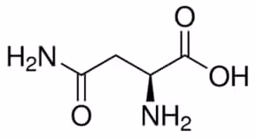 L-asparagine suitable for cell culture 25 g