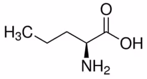 L-norvaline. arginase inhibitor 1 g