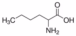 DI-Norleucine, 25 g