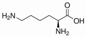 L-lysine sup à= 98% (tlc) 100 g