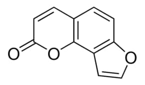 Angelicin, 10 mg