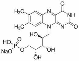Riboflavin sodium phosphate 1 pièce European Pharmacopoeia (EP) Reference Standard