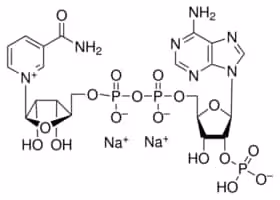 béta-Nicotinamide adenine dinucleotide phosphate (NADP), disodium salt, 1 g
