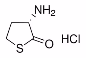 L-homocysteine thiolactone hcl 100 mg