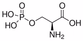 O-phospho-l-serine 10 mg