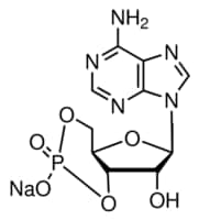 Adenosine 3 :5 -cyclic monophosphate 25 mg